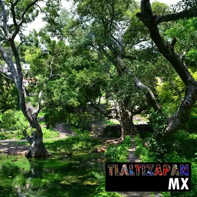 Manantial "Ojito de agua" de Ticuman en Tlaltizapán, Morelos